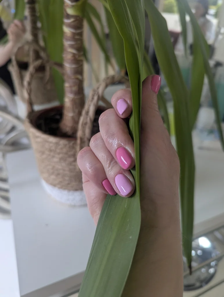 Glossy alternating pink shade BIAB builder gel manicure in Dublin 6W